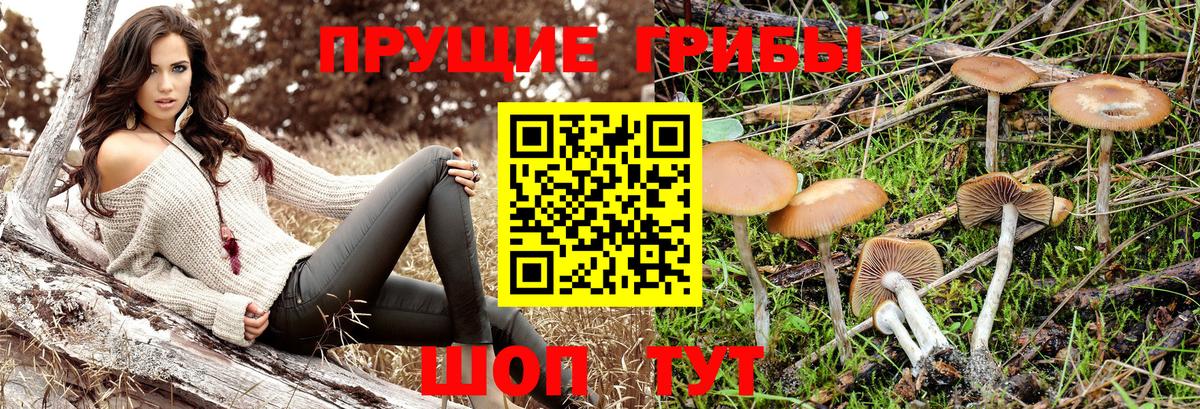 Псилоцибиновые грибы ЛСД  Галлюциногенные грибы Cubensis  цены   Вход с VPN  Крымск 